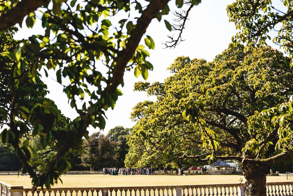 pylewell park wedding venue
