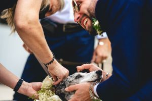farbridge wedding photographer